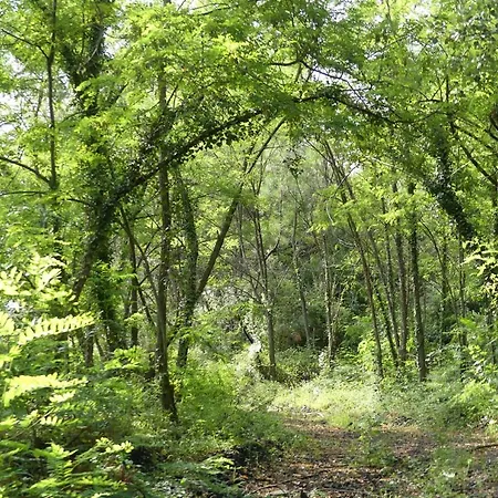 100m2 Avec Grand Terrain Le Martinet (Gard)